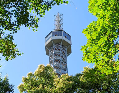 Petrin Lookout Tower viewed through a canopy of lush green trees on Petrin Hill in Prague, Czech Republic, under a clear blue sky